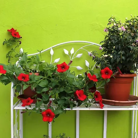 Apartament Casa E Giardino *